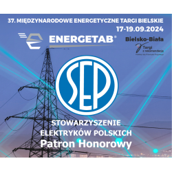 Spotkanie integracyjne SEP Energetab 2024 bez limitu